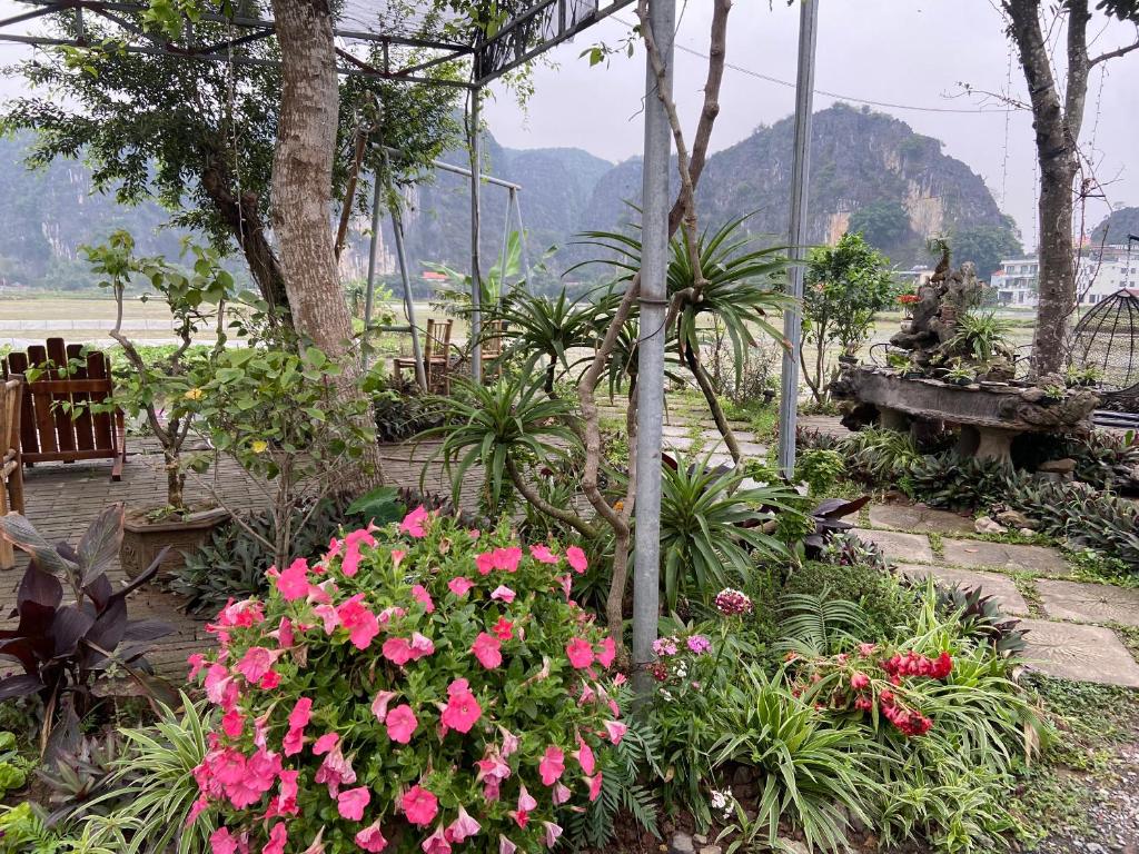 Tam Coc Mountain View Homestay