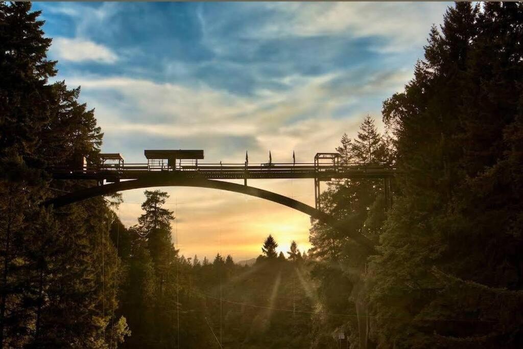 Nature Lovers’ Paradise photo 3
