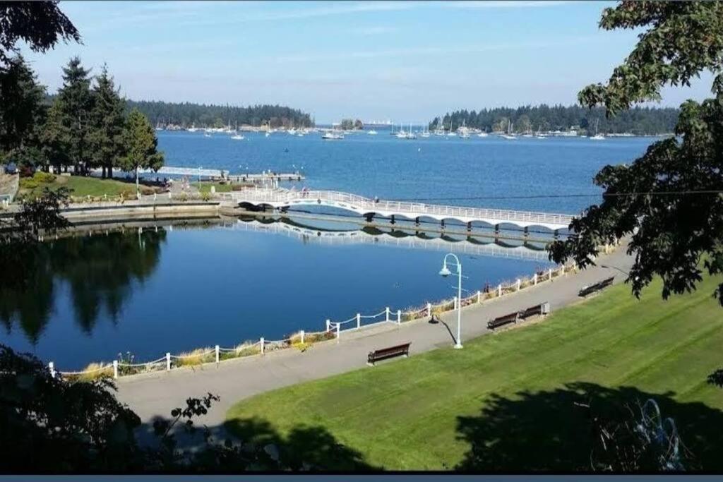 Nature Lovers’ Paradise photo 4