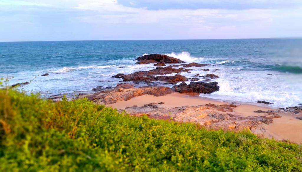 Sea Face Guest Inn------------------- By C - Face Seafood Restaurant photo 3