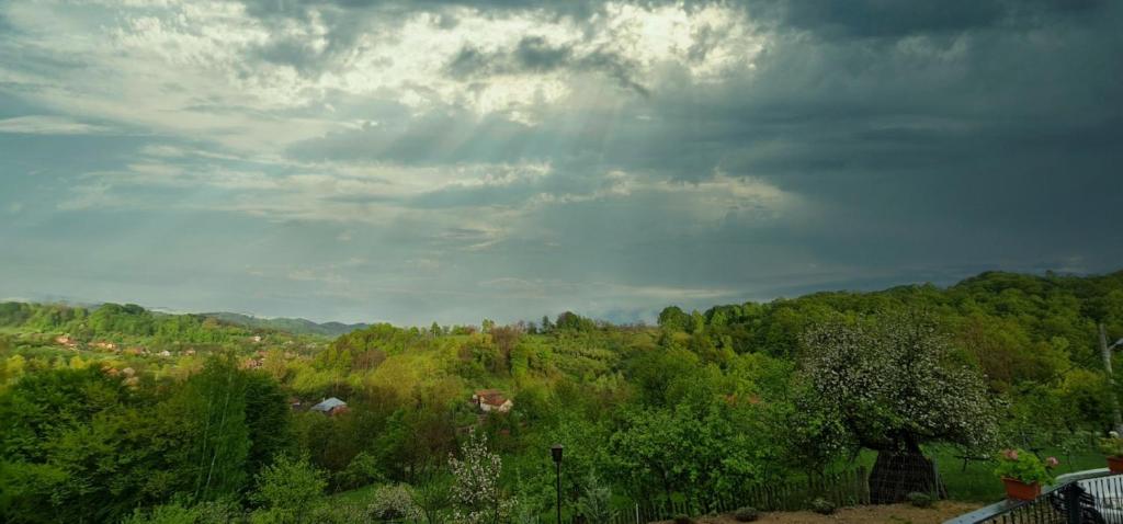 Stablo guest house photo 2