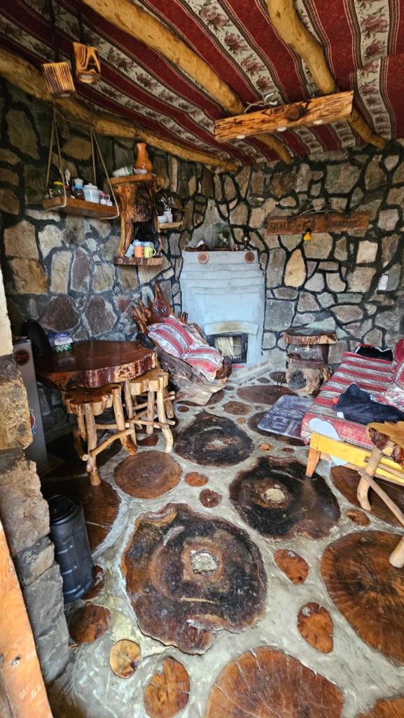 Shale Hause photo 3