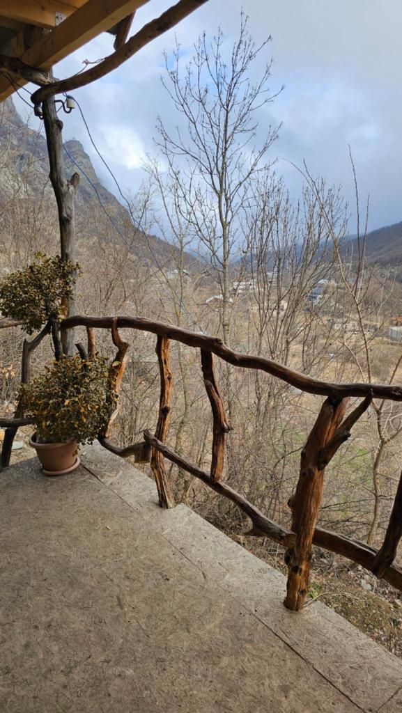 Shale Hause photo 4