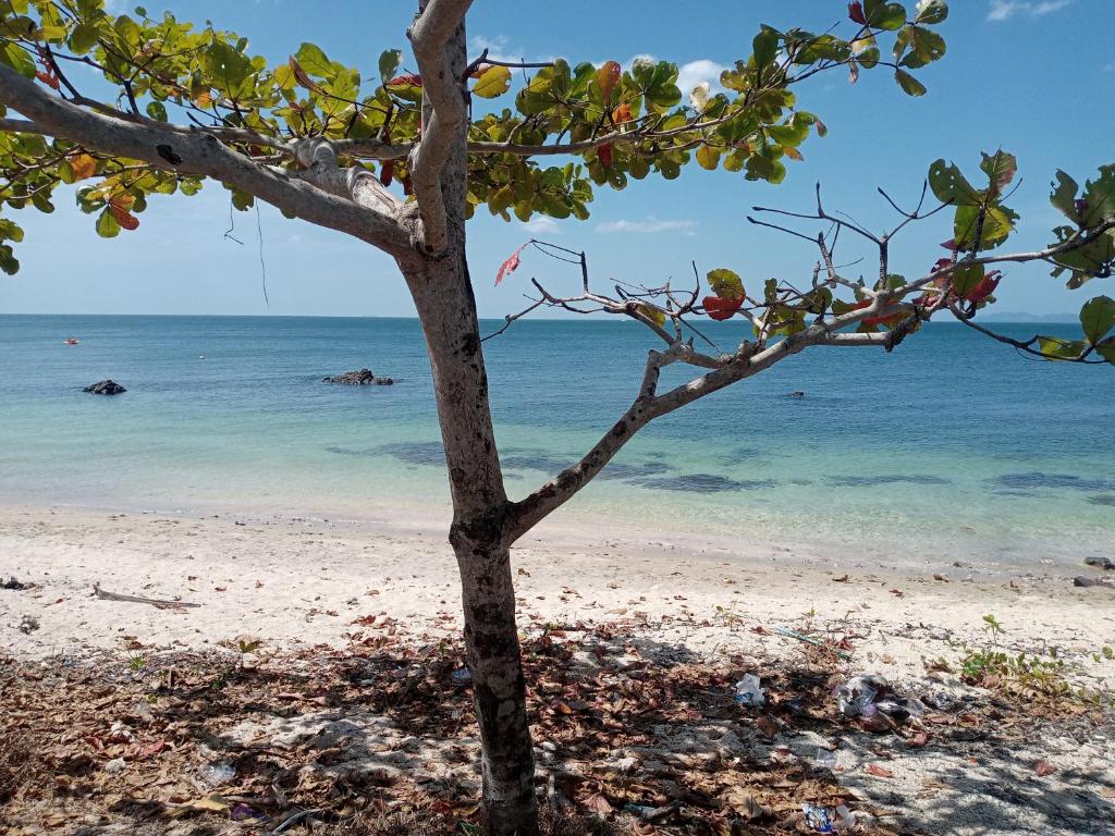 Bangkaew Camping place bangalow photo 4