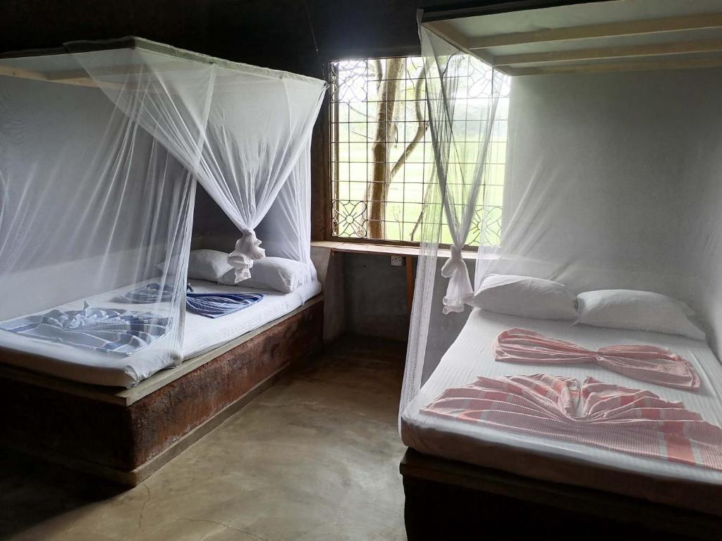 Habarana Eco Lodge & Safari photo 3