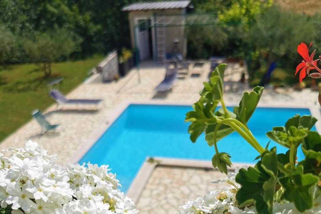 Family friendly apartments with a swimming pool Kastel, Central Istria - Sredisnja Istra - 21309 photo 4