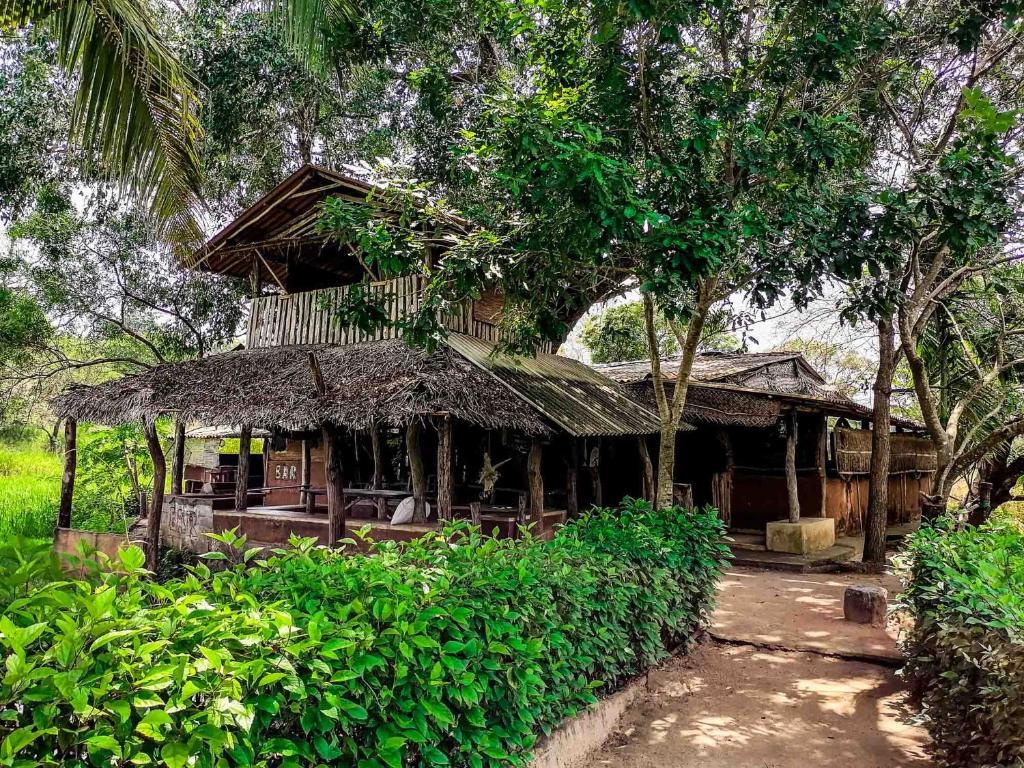 Habarana Eco Lodge & Safari photo 1