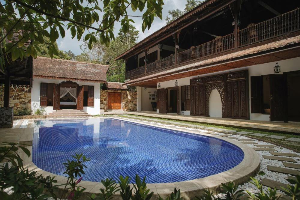 Tampit Room Jungle Pool Retreat