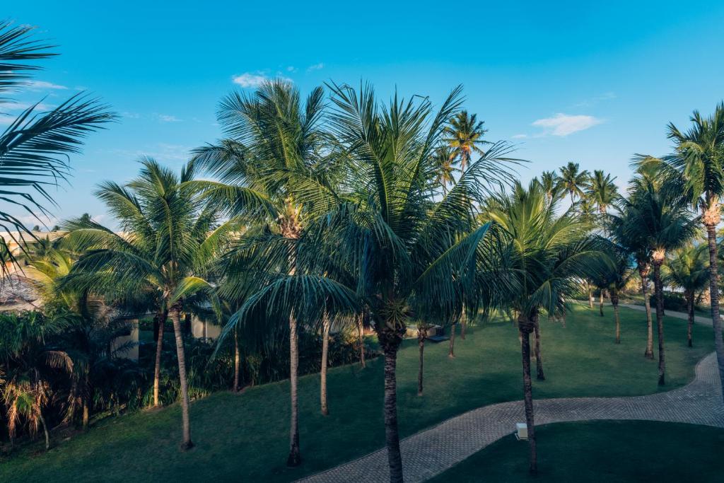 Iberostar Bahia - All Inclusive photo 1