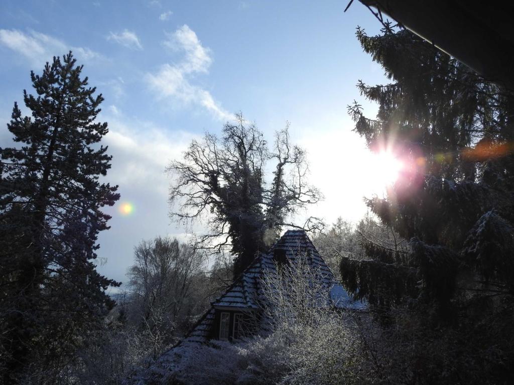 Wohnen im Wald photo 2