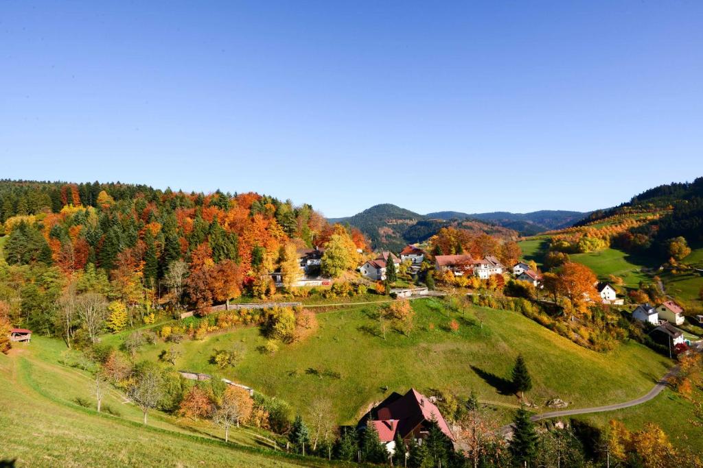 Ferienwohnung Fürstenkopf