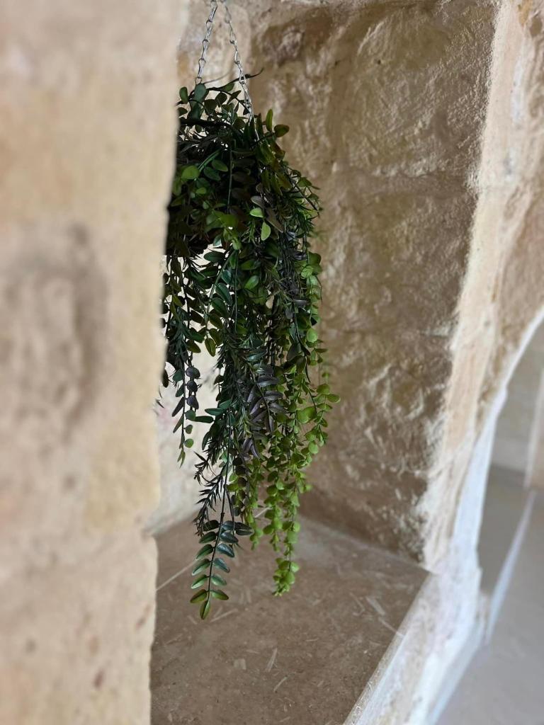 Ta' Pawlu Farmhouse - Xaghra photo 4