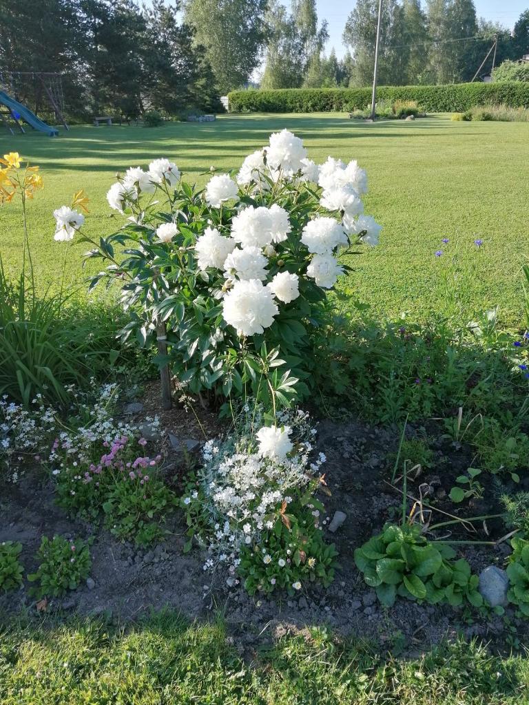 Villa River Rose photo 4