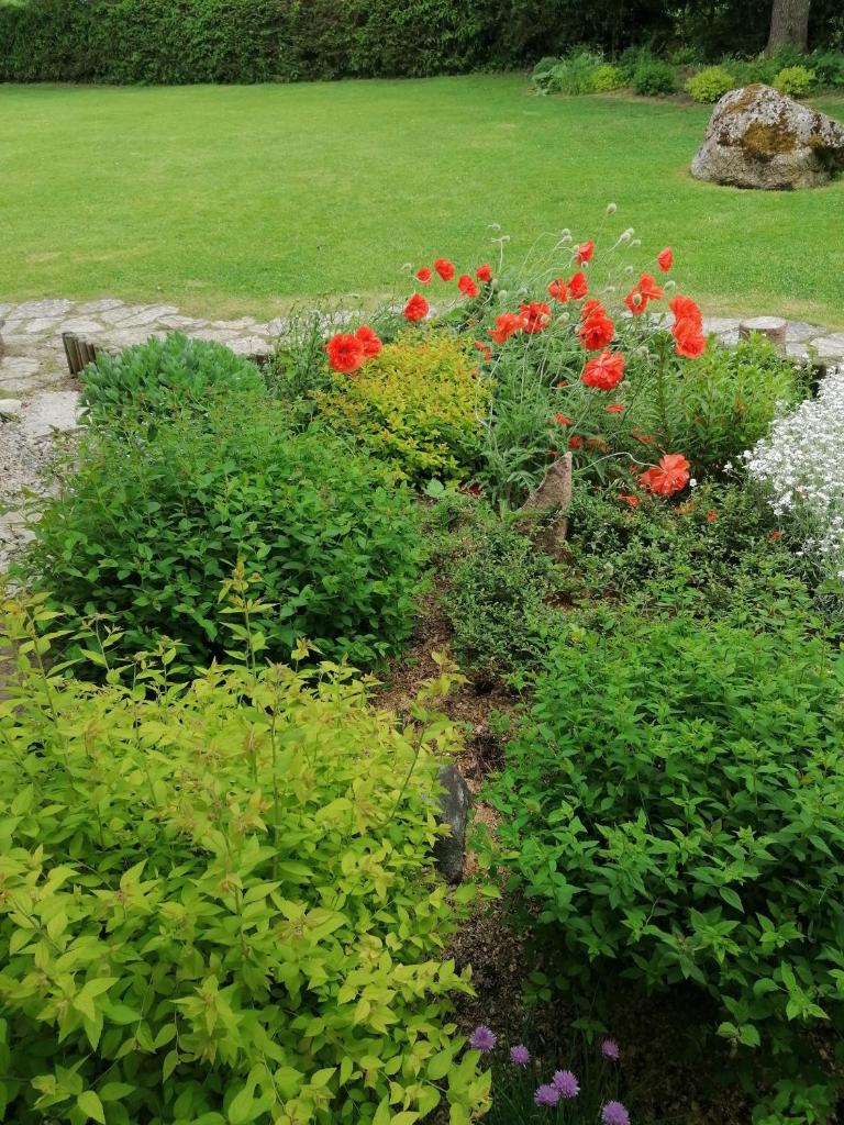 Villa River Rose photo 3