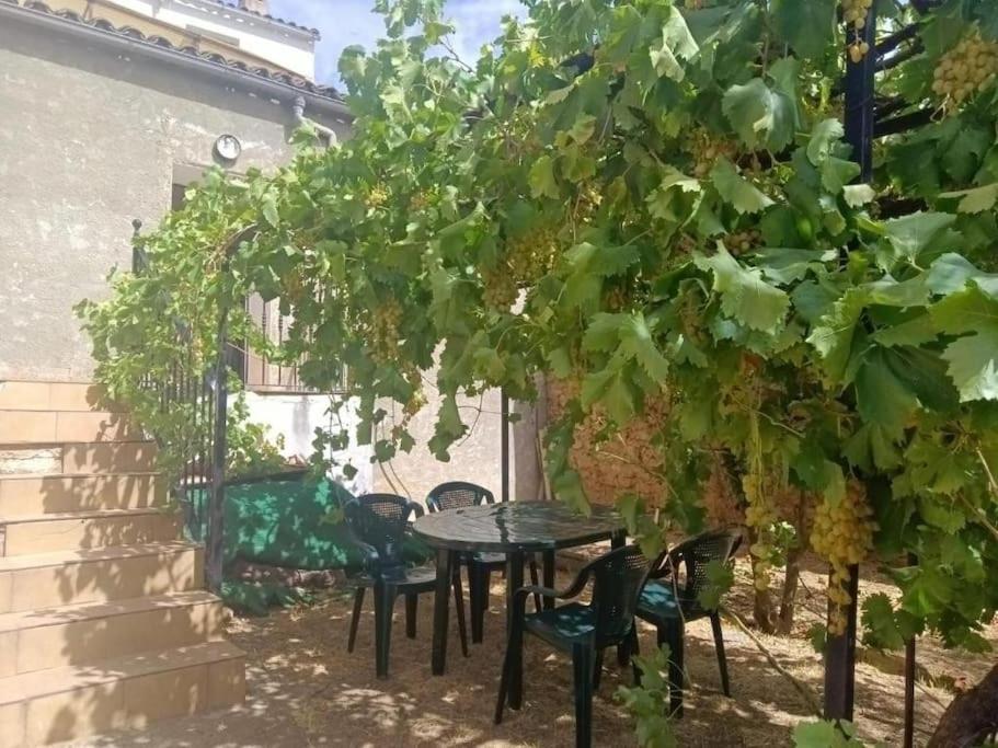 Vivienda rural Los Iberos M&M photo 3