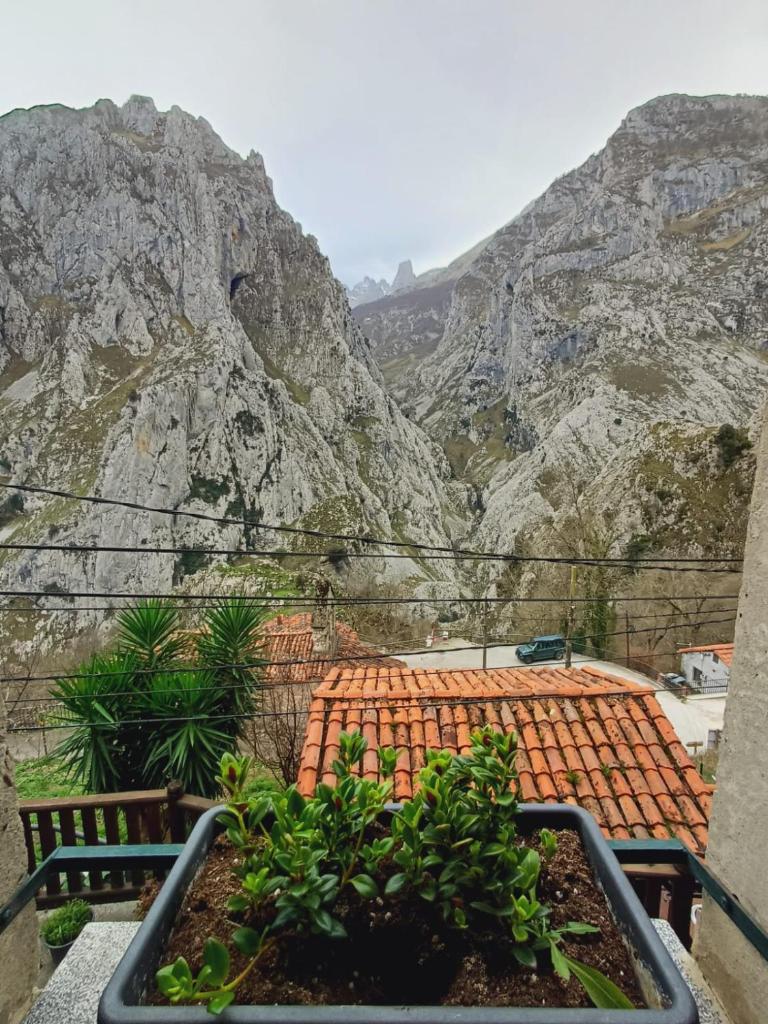 El Portal del Abuelo photo 4