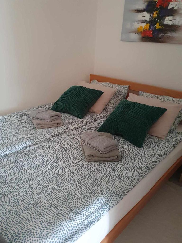 Apartman Djokic 5 photo 1