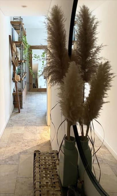 Hermoso departamento en complejo residencial photo 3