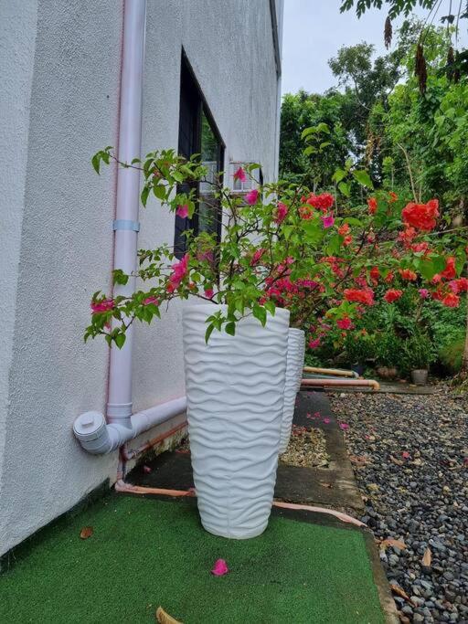 Home in BoholPhilippinesVilla Santorino photo 3