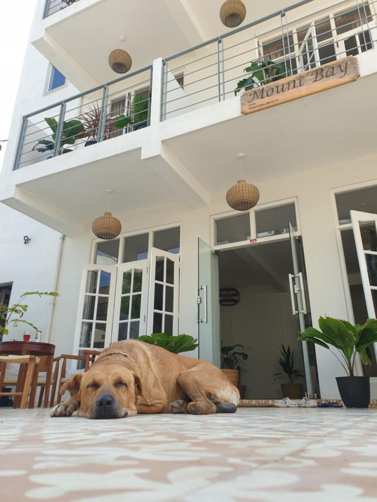 Mount Bay Guest House photo 1