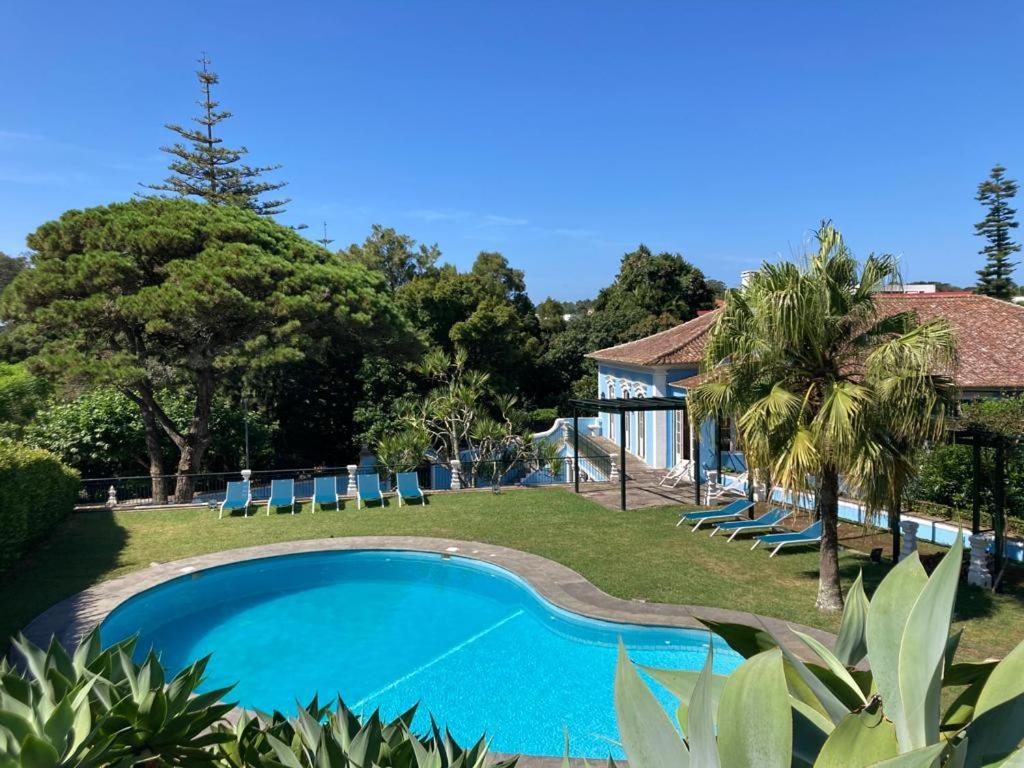 Quinta das Palmeiras photo 2