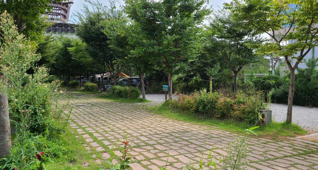 Byeonsan Auto Camping photo 3