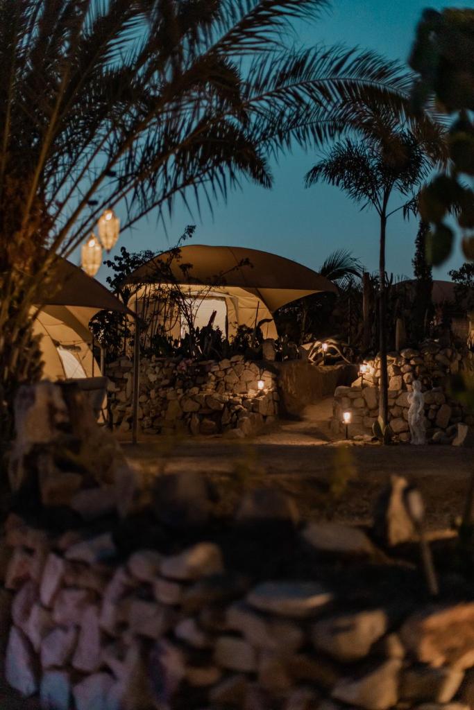 Los Cabos Glamping photo 4