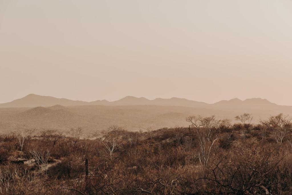 Los Cabos Glamping photo 2
