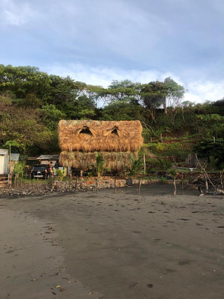 Pelicano Surf Camp 2 photo 2