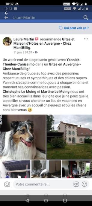 Maison d'Hôtes à Saint Nectaire Chez MamBillig photo 2