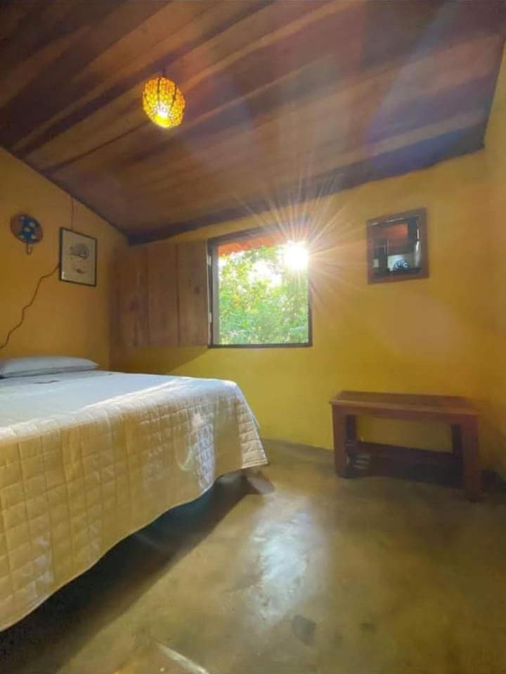 Casa Ipê - Aldeia Raizama photo 4