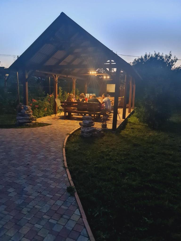 Pensiunea turistică MUZE photo 3