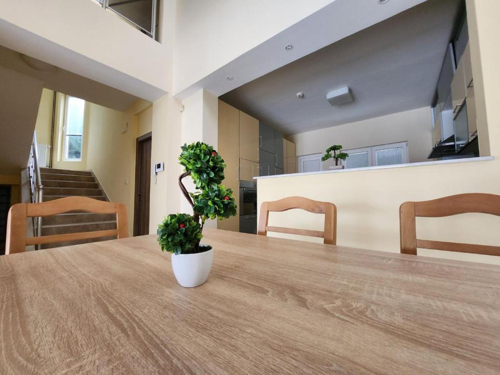 Elena Apartments Vodno - Relaxing panoramic view of Skopje photo 4