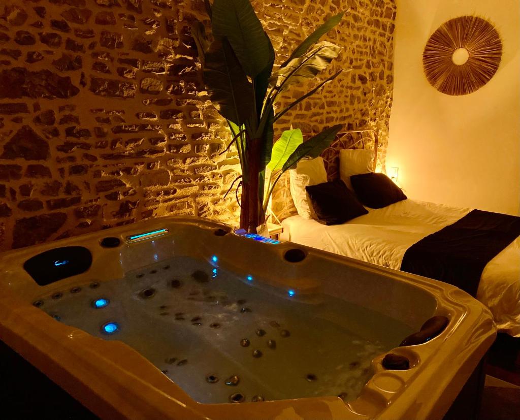 Profitez d'une douce nuit avec jacuzzi photo 3