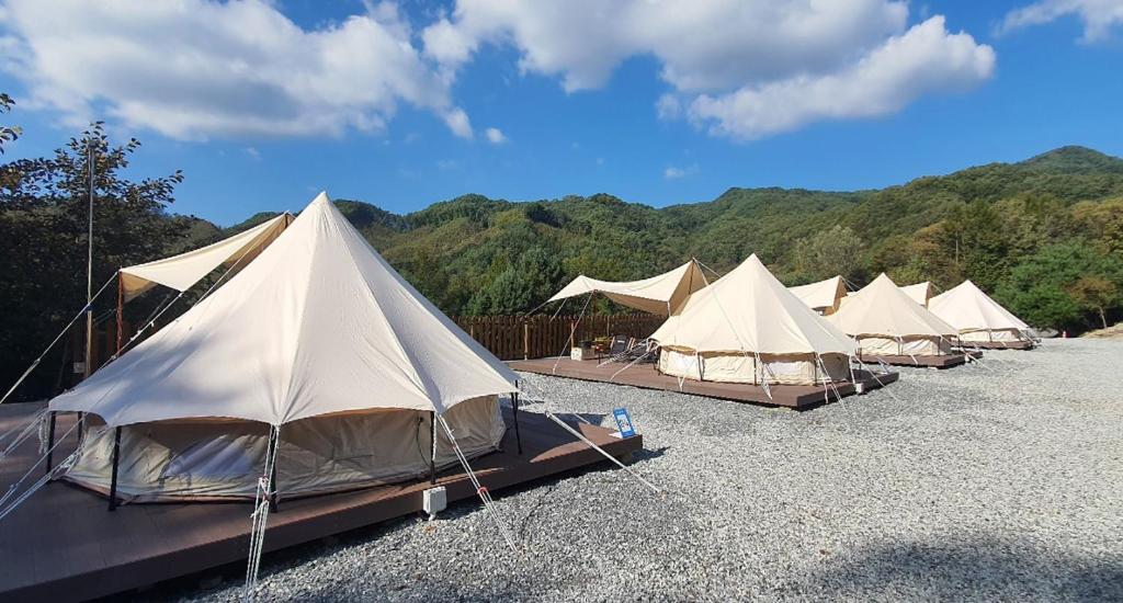 Starium Jecheon photo 4