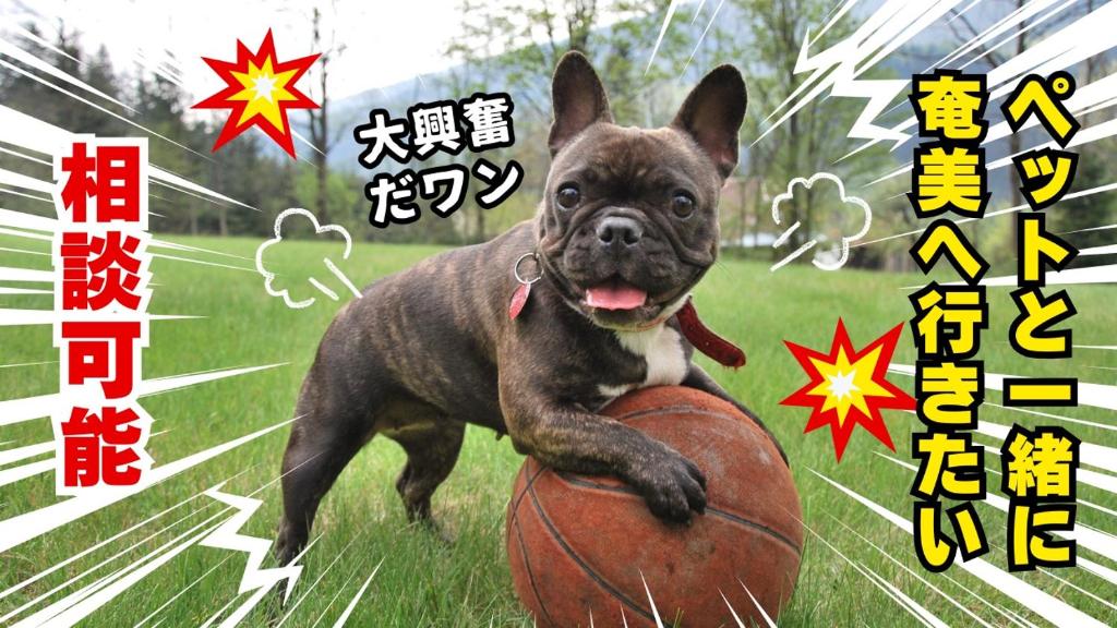 ペットと泊まれる宿一棟貸しkise-㐂瀬- photo 1