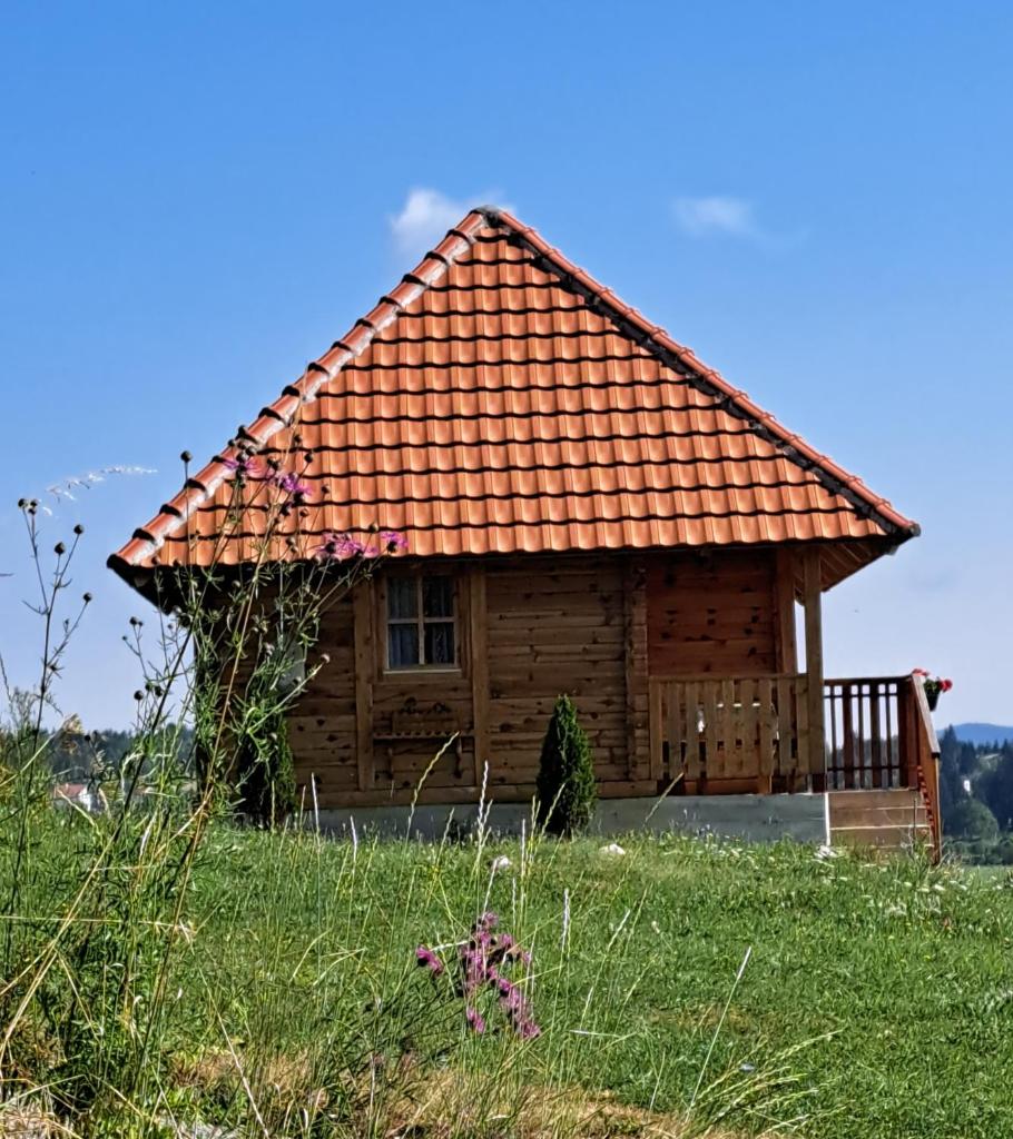 Etno domacinstvo Uvacki konaci photo 1