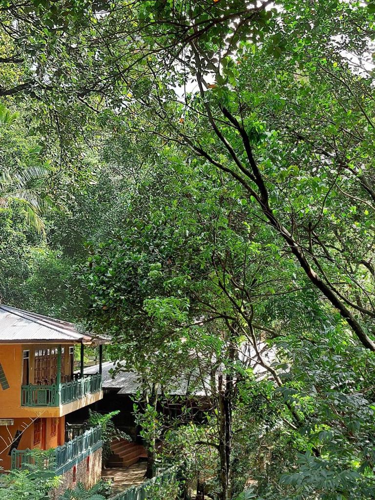Belihuloya Terico Resort photo 1