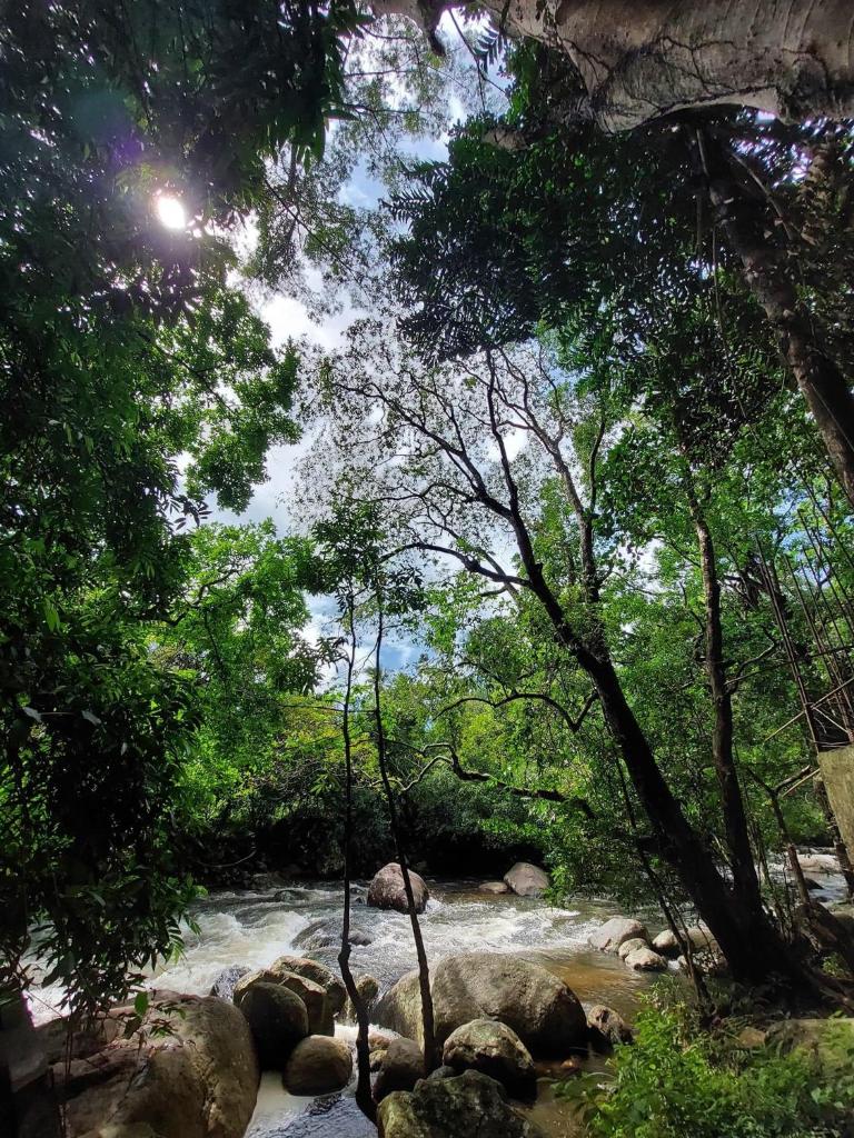 Belihuloya Terico Resort photo 2