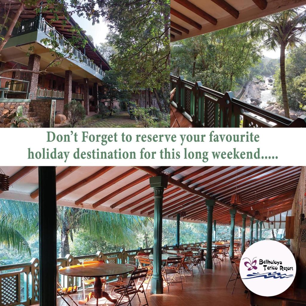 Belihuloya Terico Resort photo 4