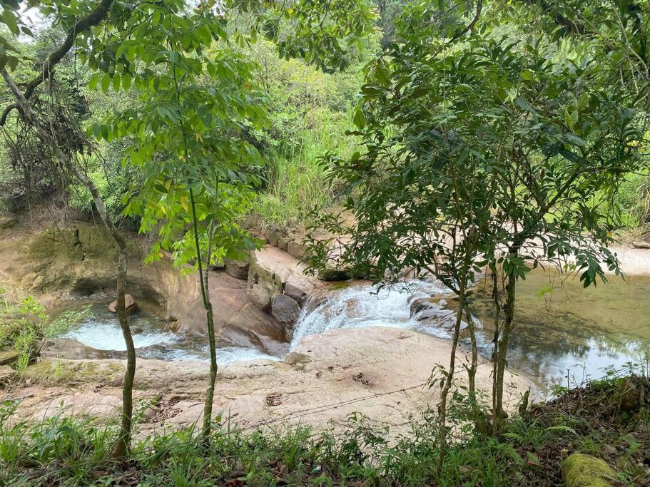 Descubre la Reserva Forestal La Yeguada photo 4