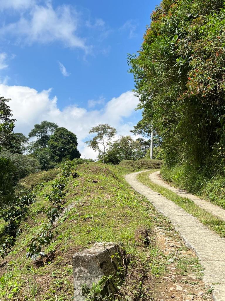 Villa verónica photo 4