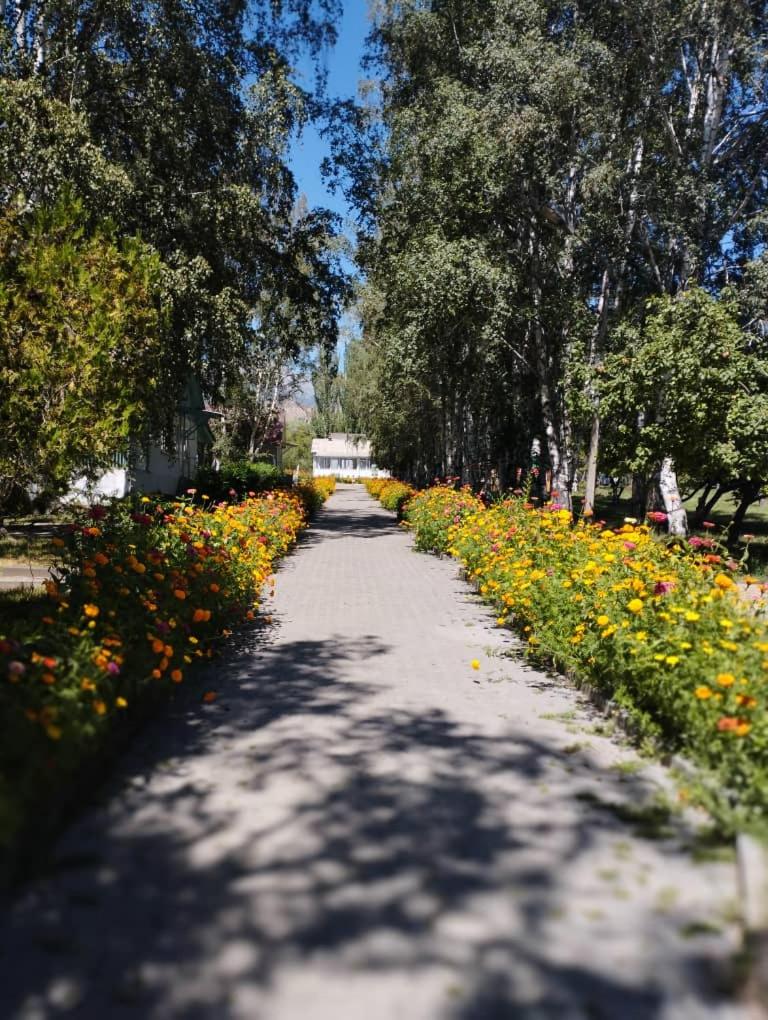 пансионат Нептун photo 3