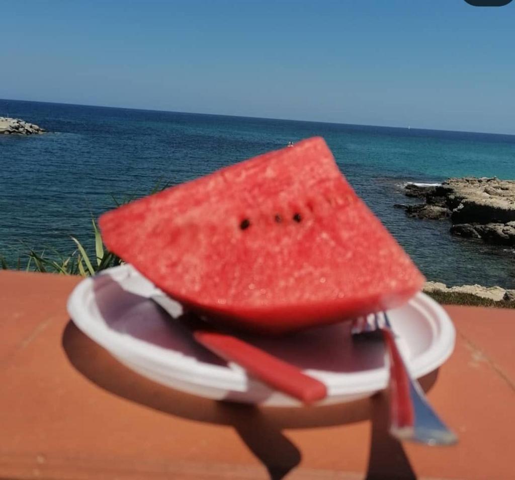 LA TERRAZZA SUL MARE casa vacanze e affittacamere photo 2