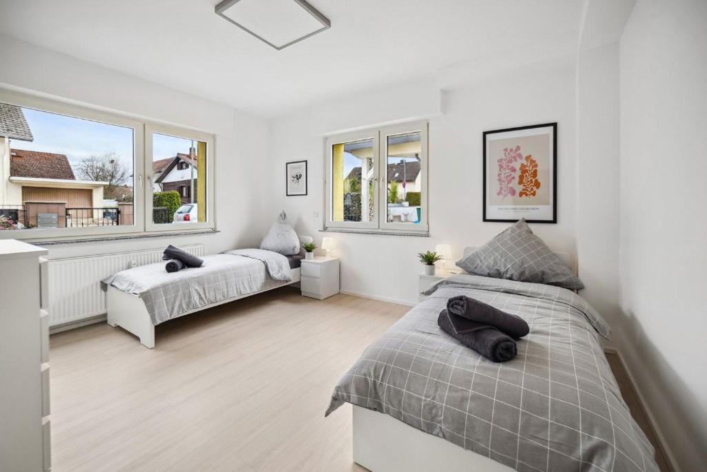 Nice Apartments in Hanau photo 3
