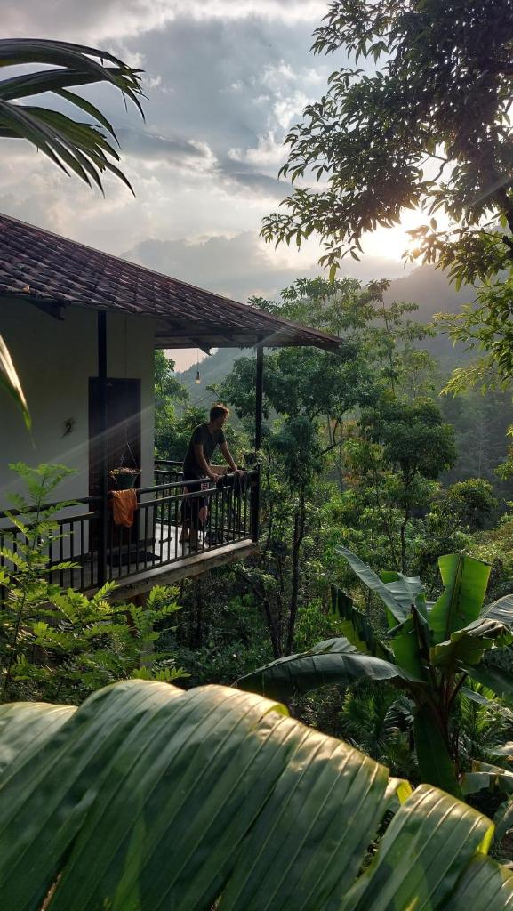 White Villa Kitulgala photo 2