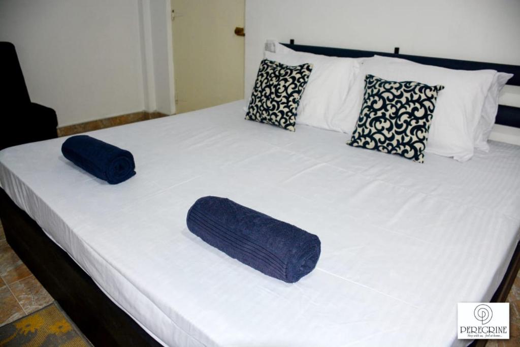 PEREGRINE Villa photo 4