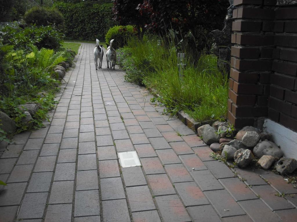 Haus Gori photo 3