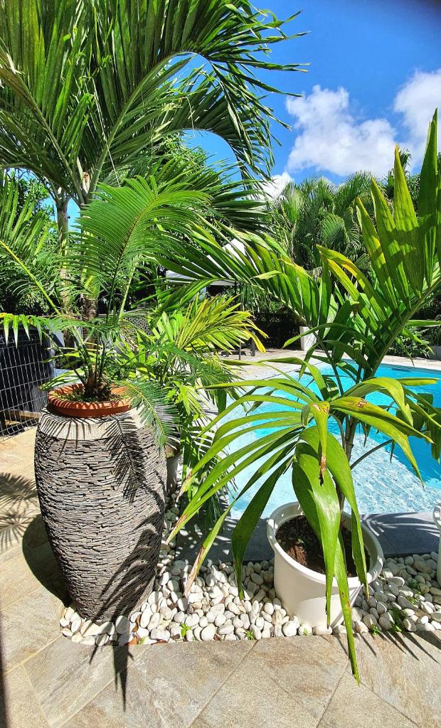 Villa avec piscine privée, Charme & Exostisme photo 3