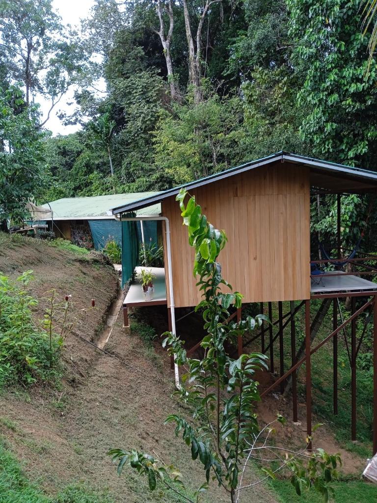Cabañas Bajo Bosque Drake photo 3
